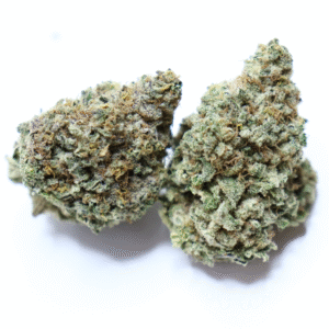 GAS