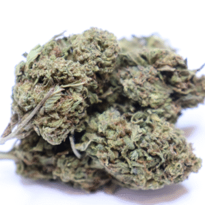 STARDAWG